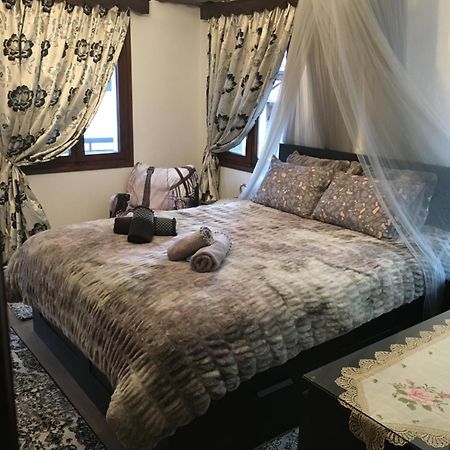 Apartament Agapi'S House Metsovo Zewnętrze zdjęcie