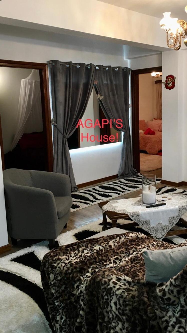 Apartament Agapi'S House Metsovo Zewnętrze zdjęcie