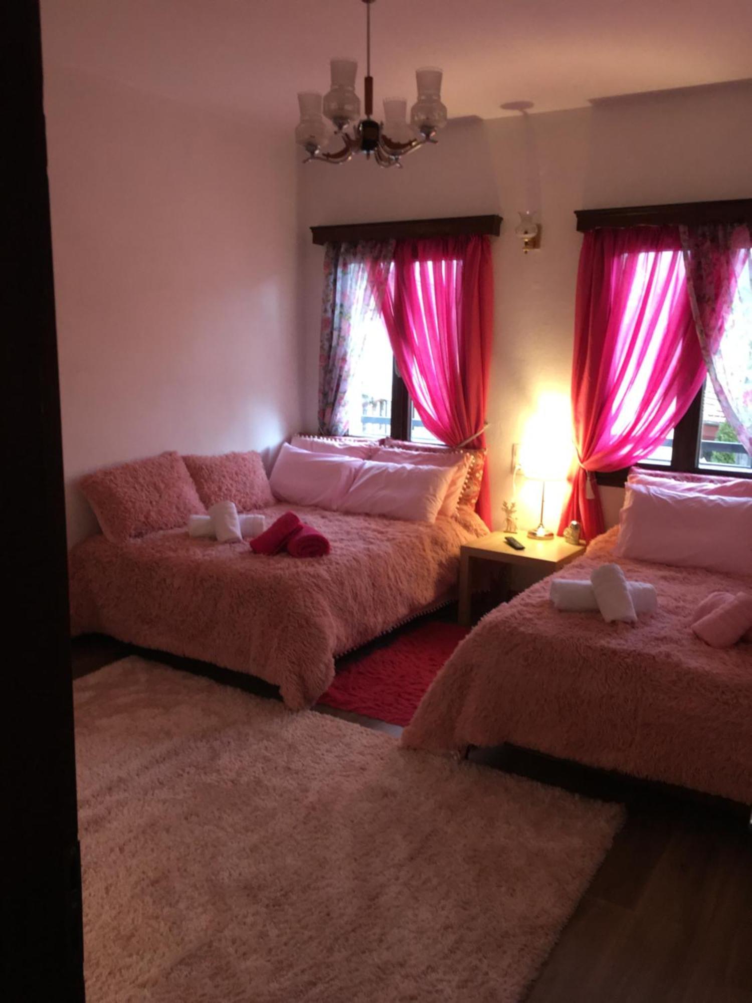 Apartament Agapi'S House Metsovo Zewnętrze zdjęcie