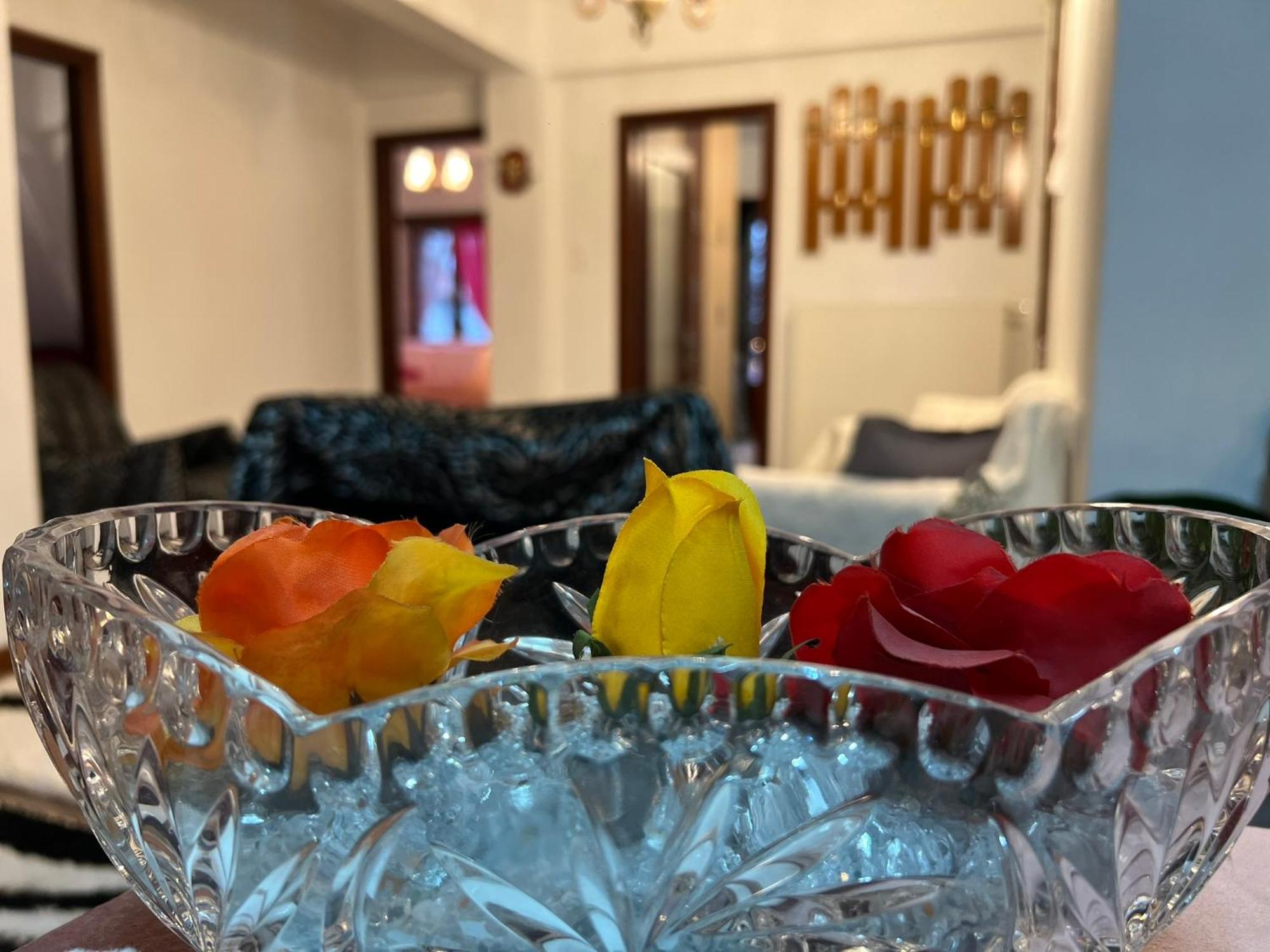 Apartament Agapi'S House Metsovo Zewnętrze zdjęcie