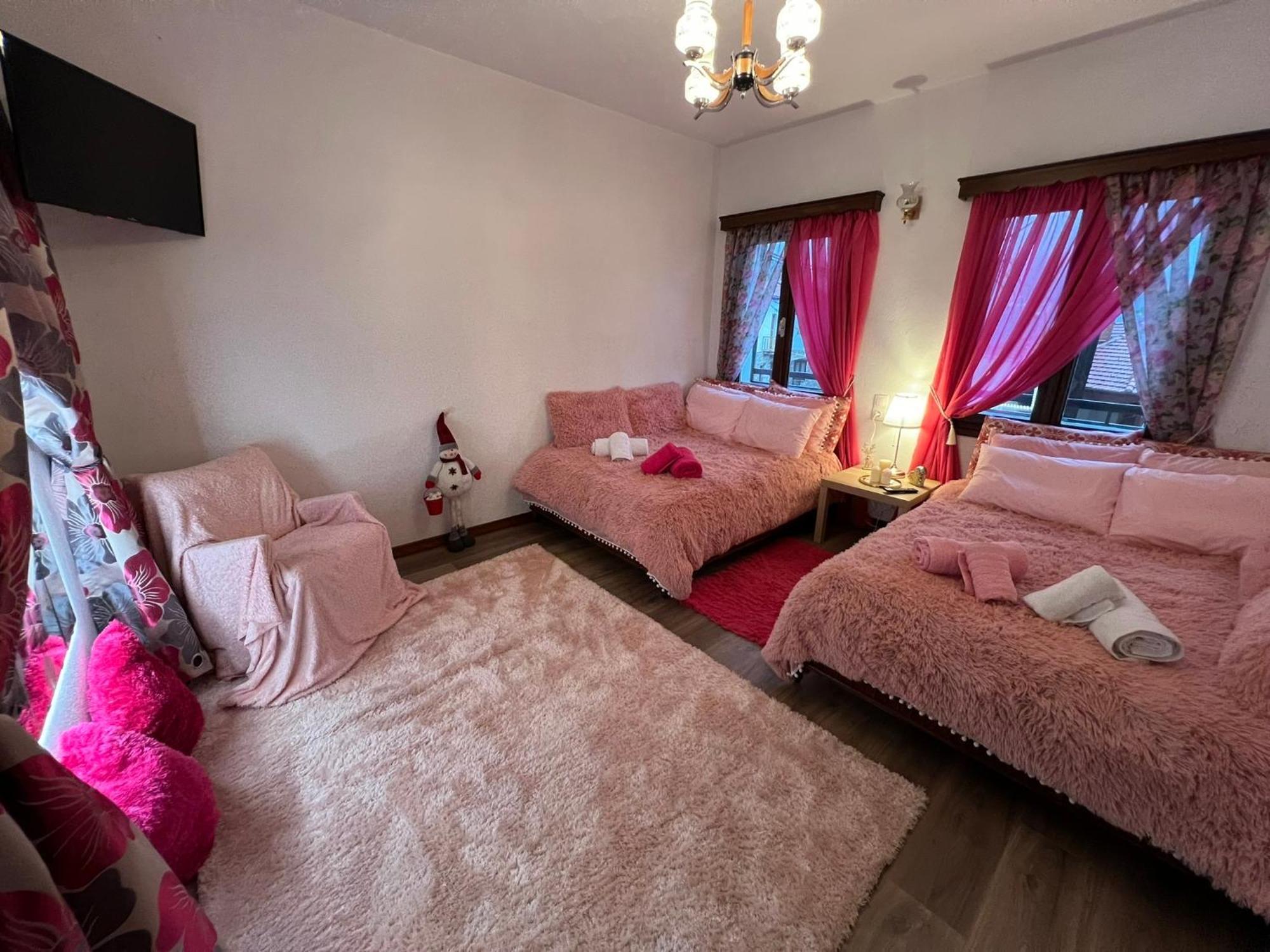 Apartament Agapi'S House Metsovo Zewnętrze zdjęcie