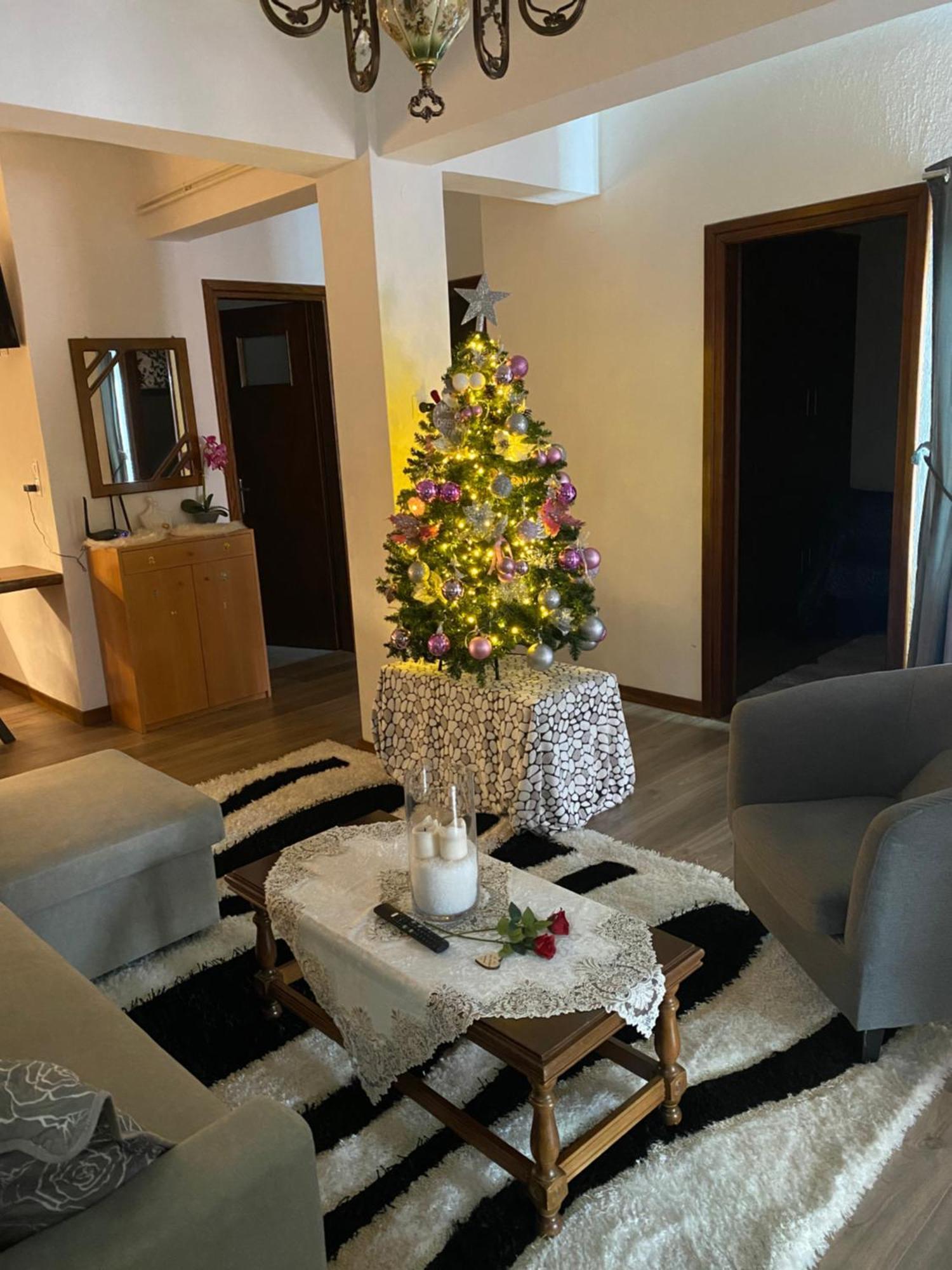 Apartament Agapi'S House Metsovo Zewnętrze zdjęcie